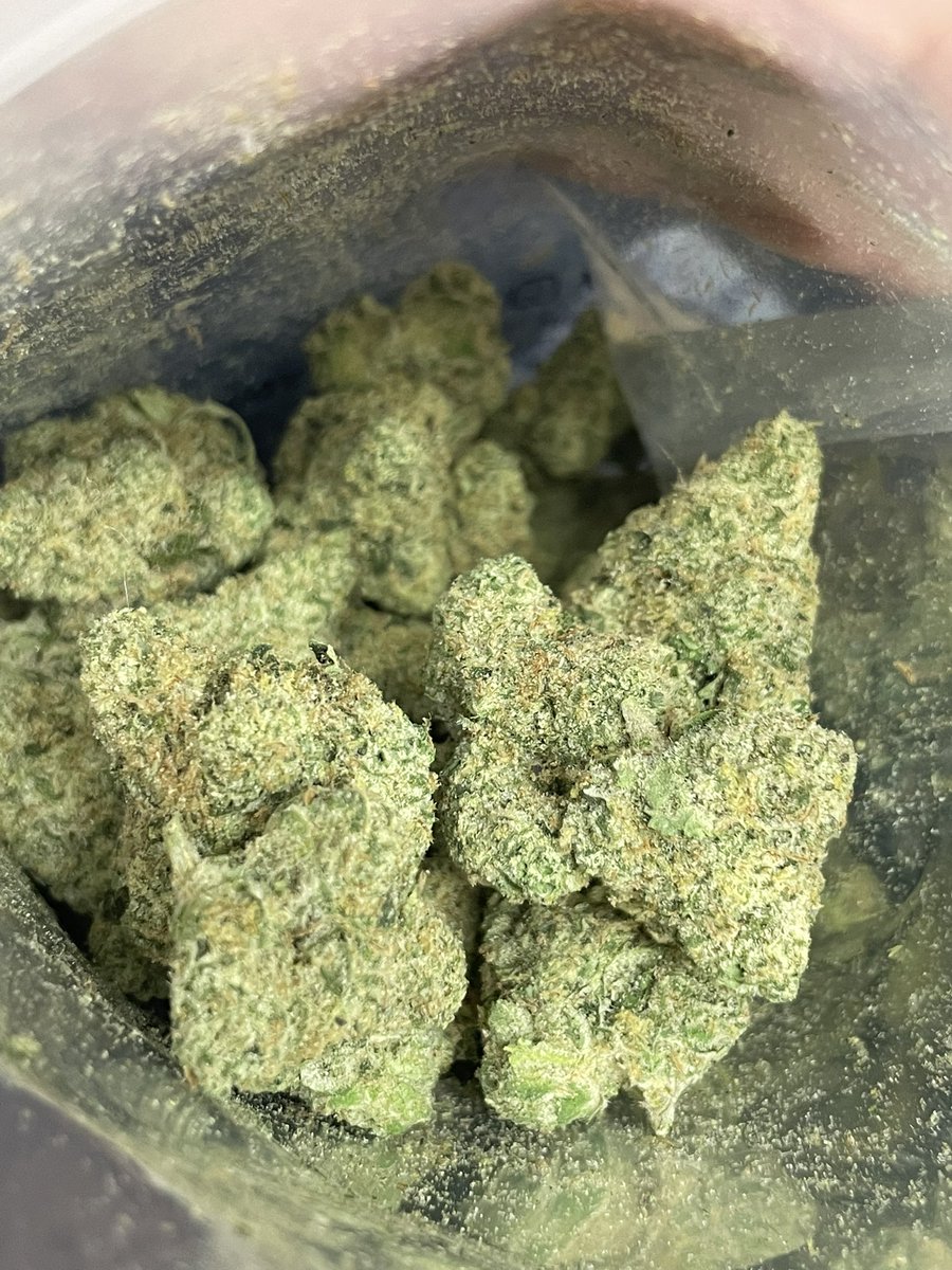 teebone954's tweet image. Golden Wife
Hybrid Sativa Dom 
Golden Pineapple x Trophy Wife 
🎄 💎 
Sweet gas ,Piney and Fruity taste  
Happy December 🎄 🎅

#THC #WeedLovers