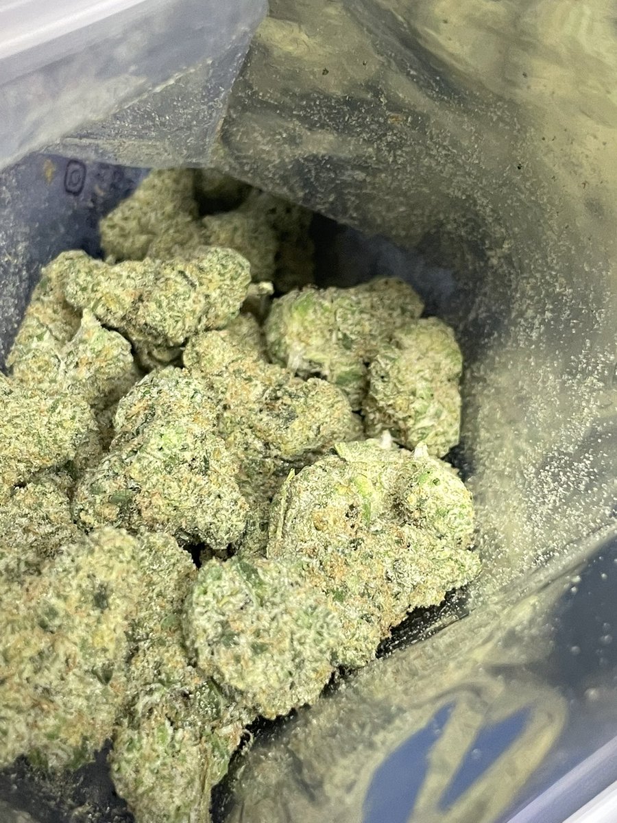 teebone954's tweet image. Golden Wife
Hybrid Sativa Dom 
Golden Pineapple x Trophy Wife 
🎄 💎 
Sweet gas ,Piney and Fruity taste  
Happy December 🎄 🎅

#THC #WeedLovers