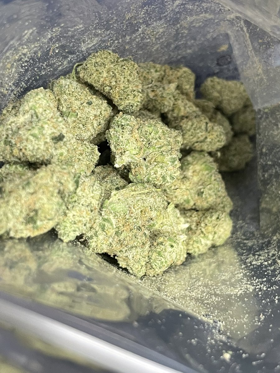 teebone954's tweet image. Golden Wife
Hybrid Sativa Dom 
Golden Pineapple x Trophy Wife 
🎄 💎 
Sweet gas ,Piney and Fruity taste  
Happy December 🎄 🎅

#THC #WeedLovers