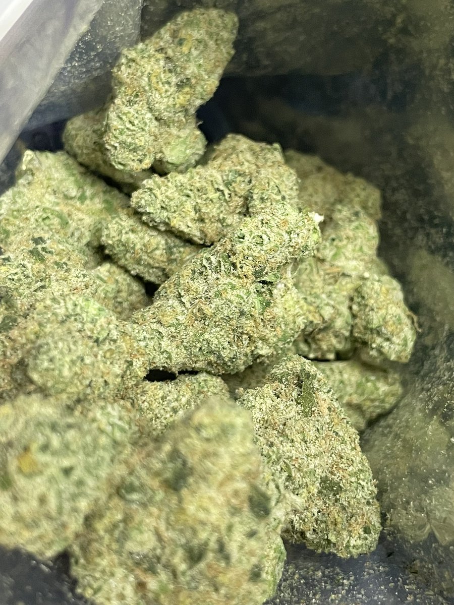 teebone954's tweet image. Golden Wife
Hybrid Sativa Dom 
Golden Pineapple x Trophy Wife 
🎄 💎 
Sweet gas ,Piney and Fruity taste  
Happy December 🎄 🎅

#THC #WeedLovers