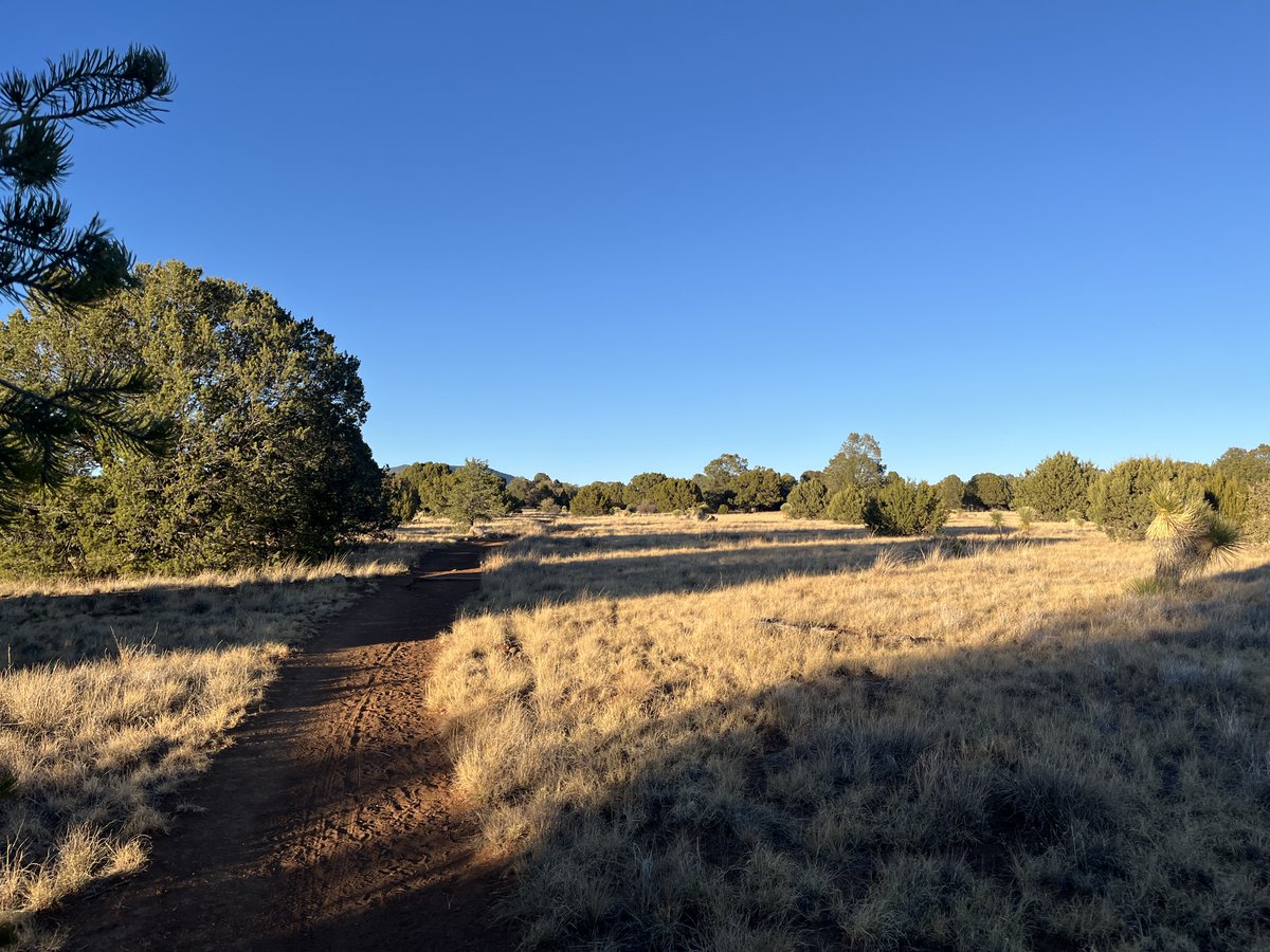 levicook's tweet image. Sometimes you just gotta walk it off.