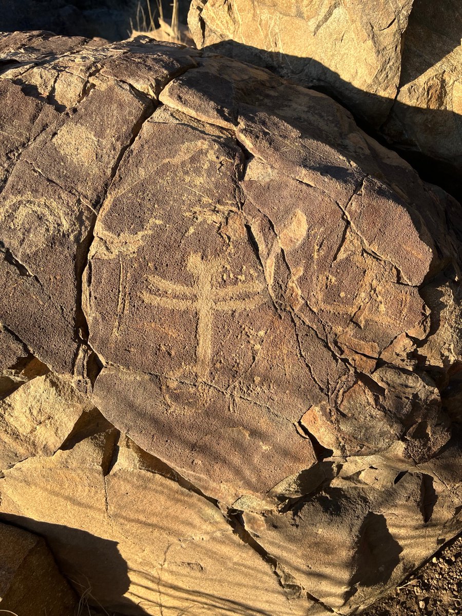 levicook's tweet image. Sometimes you just gotta walk it off.