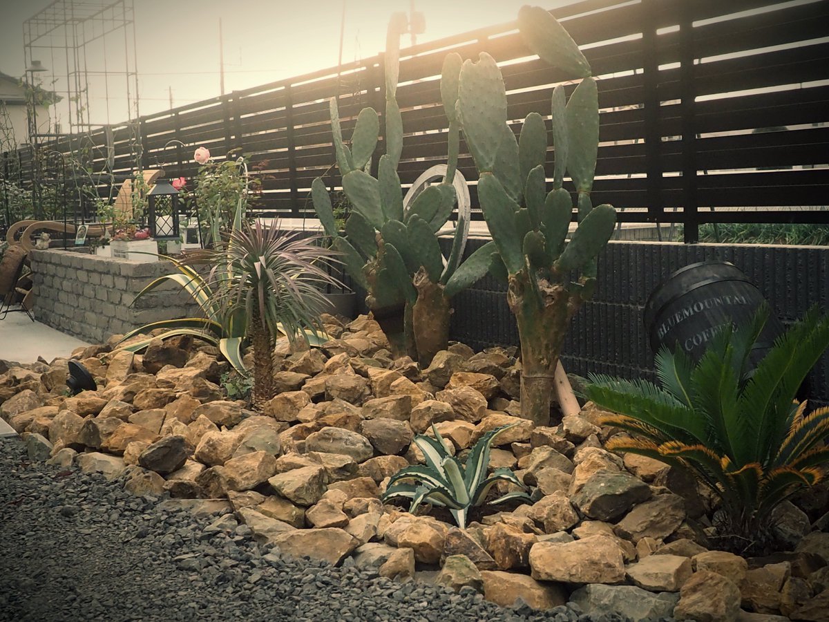 趣味の園芸コミュニティ Community on X - 85 Members