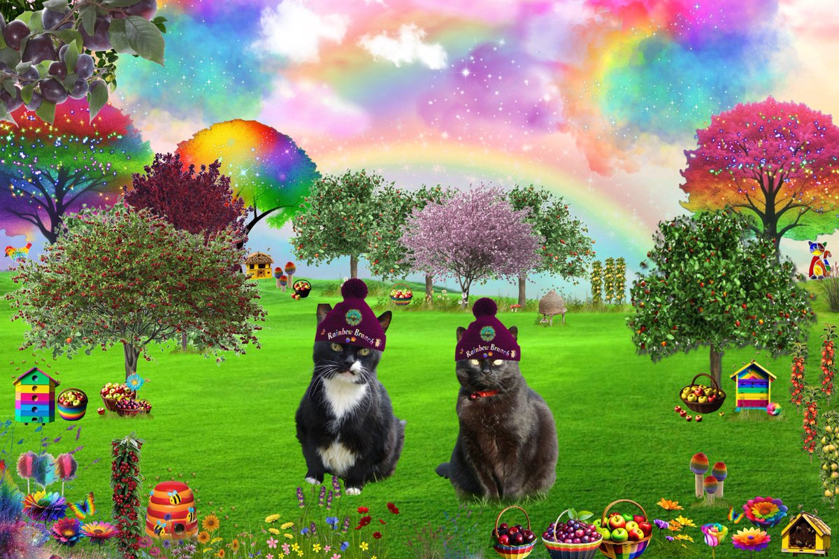 We’re in the orchard at the #rainbowbridgeallotments for our  #HedgewatchforRomeo 🌈🌳
Romeo has arrived safely and has been exploring the allotments with us and Boris.
Sending pawhugs, love and gentle purrs to his family.
Angel Plum 😇❤️ &amp; Angel Boo 😇💙
⛅️🌈⛅️