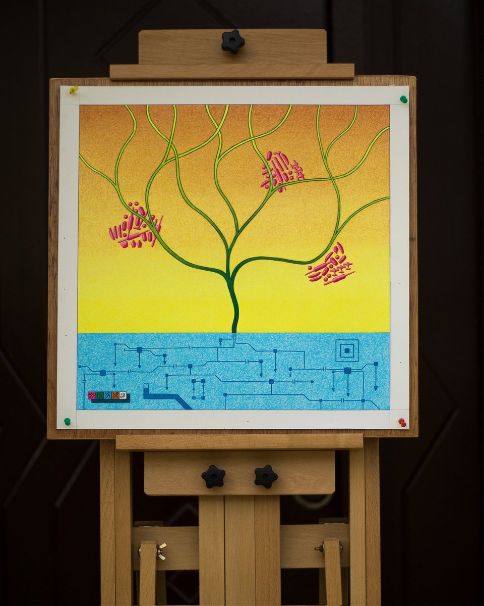 adewalemayowa_'s tweet image. Gm 💫