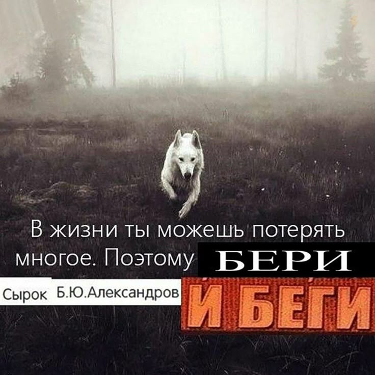 Надо отбросить стыд за своё неумение выражать мысли, за отсутствие этих самых мыслей, и начать ЖЁСТКО ГРАФОМАНИТЬ

В конце концов, быть примером того, как делать не надо — тоже достижение😈😈😈