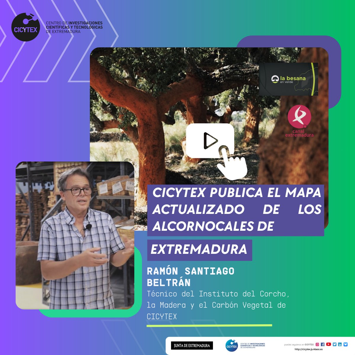 CICYTEX's tweet image. 📺Los amigos de @labesanaCEX de @cextremadura  han emitido un reportaje 🎥sobre el Mapa Actualizado de Alcornocales de Extremadura que han hecho los técnicos de nuestro Instituto del Corcho, la Madera y el Carbón Vegetal (ICMC)  🗺️ 🌳
⏯️Dale al play canalextremadura.es/a-la-carta/la-…
