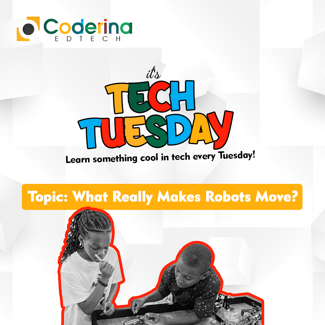 coderina's tweet image. ⚙️⚒️ It&apos;s Tech Tuesday: What Really Makes Robots Move? 

Ever wondered how robots walk, or carry objects?
Here’s the how: 

1. The Brain
Robots have a microcontroller that works like their brain.
It decides what to do and when to move.

2. The Senses
Robots use sensors the same…