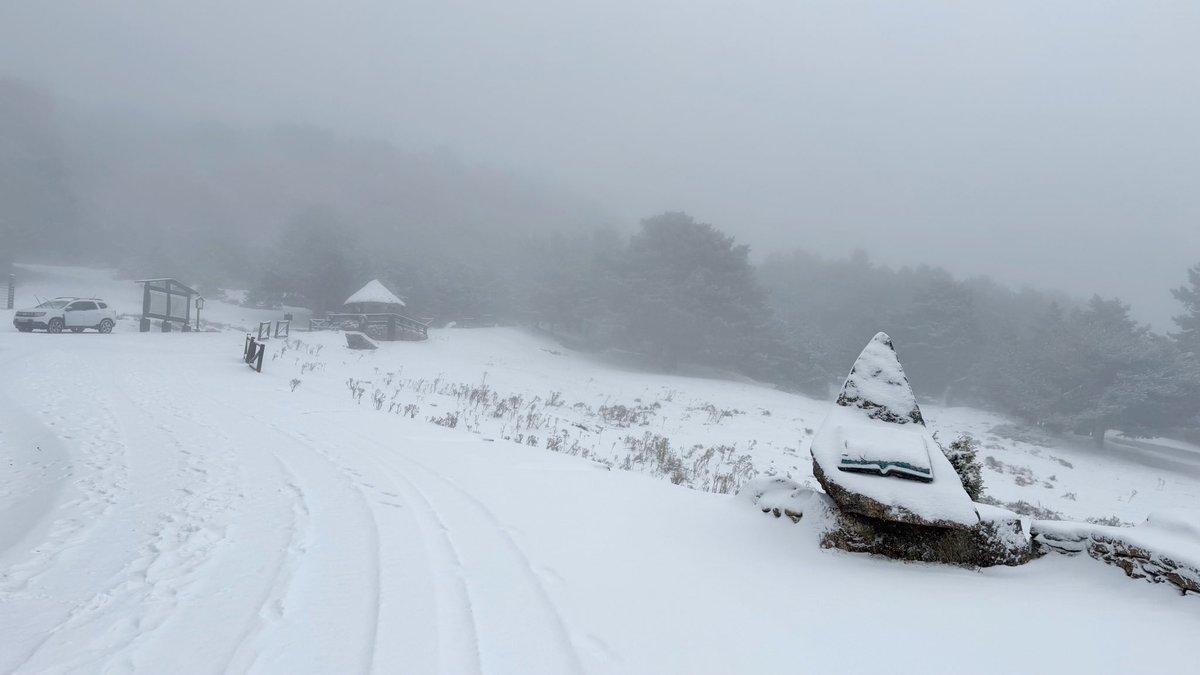Cotos. -1ºC. Nieva débilmente. Carreteras y aparcamientos con nieve y máquinas quitanieves trabajando. Cadenas o neumáticos de invierno necesarios. Mala visibilidad y sensación térmica baja en zonas altas. Equípate bien para el frío. Mucha precaución. <a href="/PN_Guadarrama/">Parque Nacional de la Sierra de Guadarrama</a> <a href="/112cmadrid/">112 Comunidad de Madrid</a>