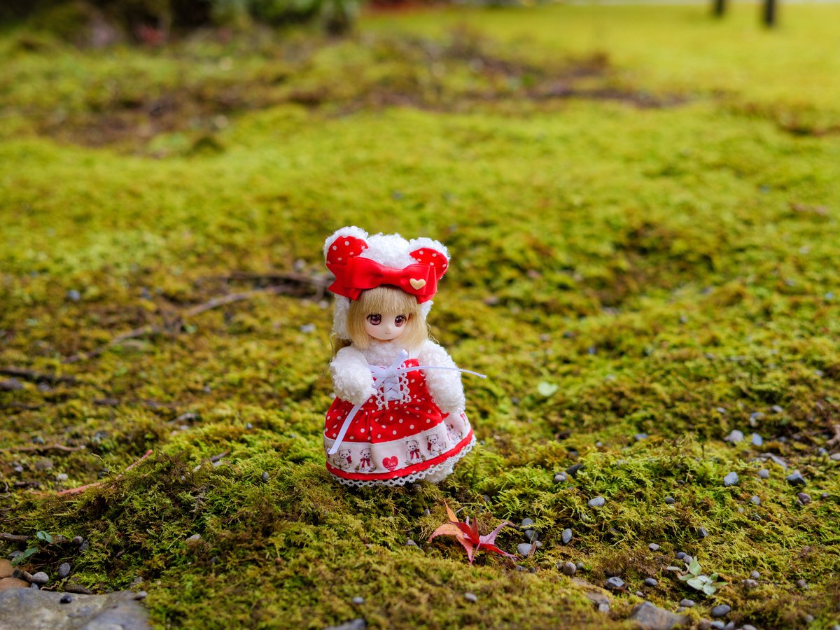 わーい🍁

#シュガーカップス #シュガカツ