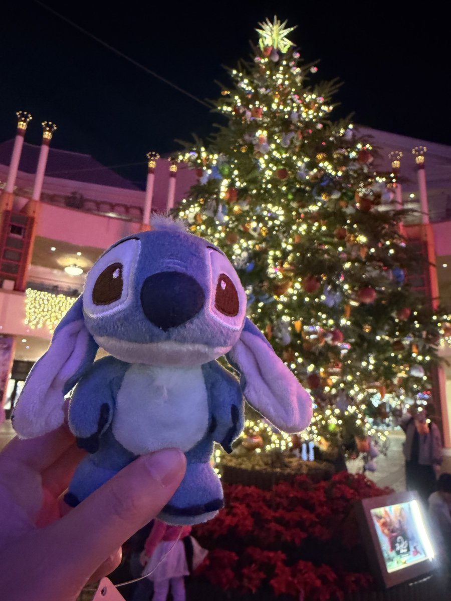 スティッチ再販してて買ってしまった🤭