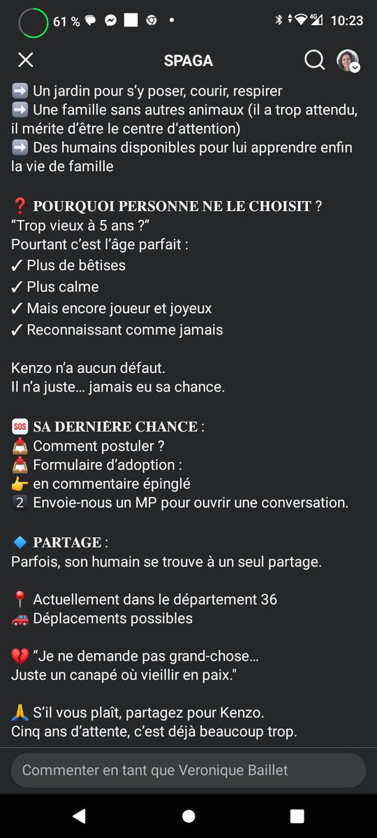 Le magnifique Kenzo, 6 ans est en pension depuis 5 ans 💔😥 C'est incompréhensible 💔😥  Merci de partager en masse SVP. Actuellement dans l'Indre mais autres départements possibles pour son adoption ⚠️⚠️
PR.76 2.0/SPAGA 
facebook.com/share/p/1BnVz7…