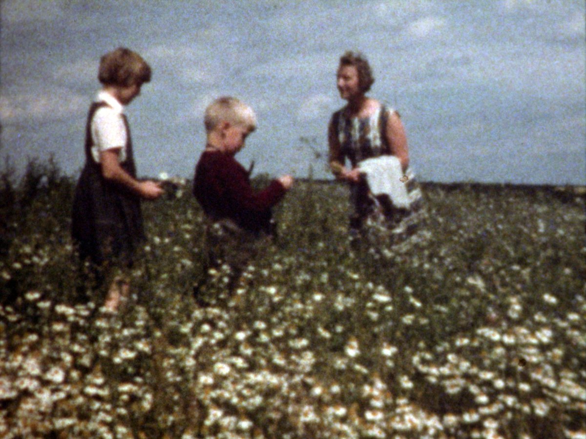 Image_forum's tweet image. 12月14日（日）イメージフォーラム・シネマテークでドイツの伝統ある映画講座、ブラウンシュヴァイク美術大学の学生作品と、教鞭を執る映像作家ミヒャエル・ブリュントループ氏の作品集を上映します。作家によるQ&amp;amp;Aも予定しています。

※英語字幕のみ、Q&amp;amp;Aは通訳あり

imageforum.co.jp/cinematheque/1…