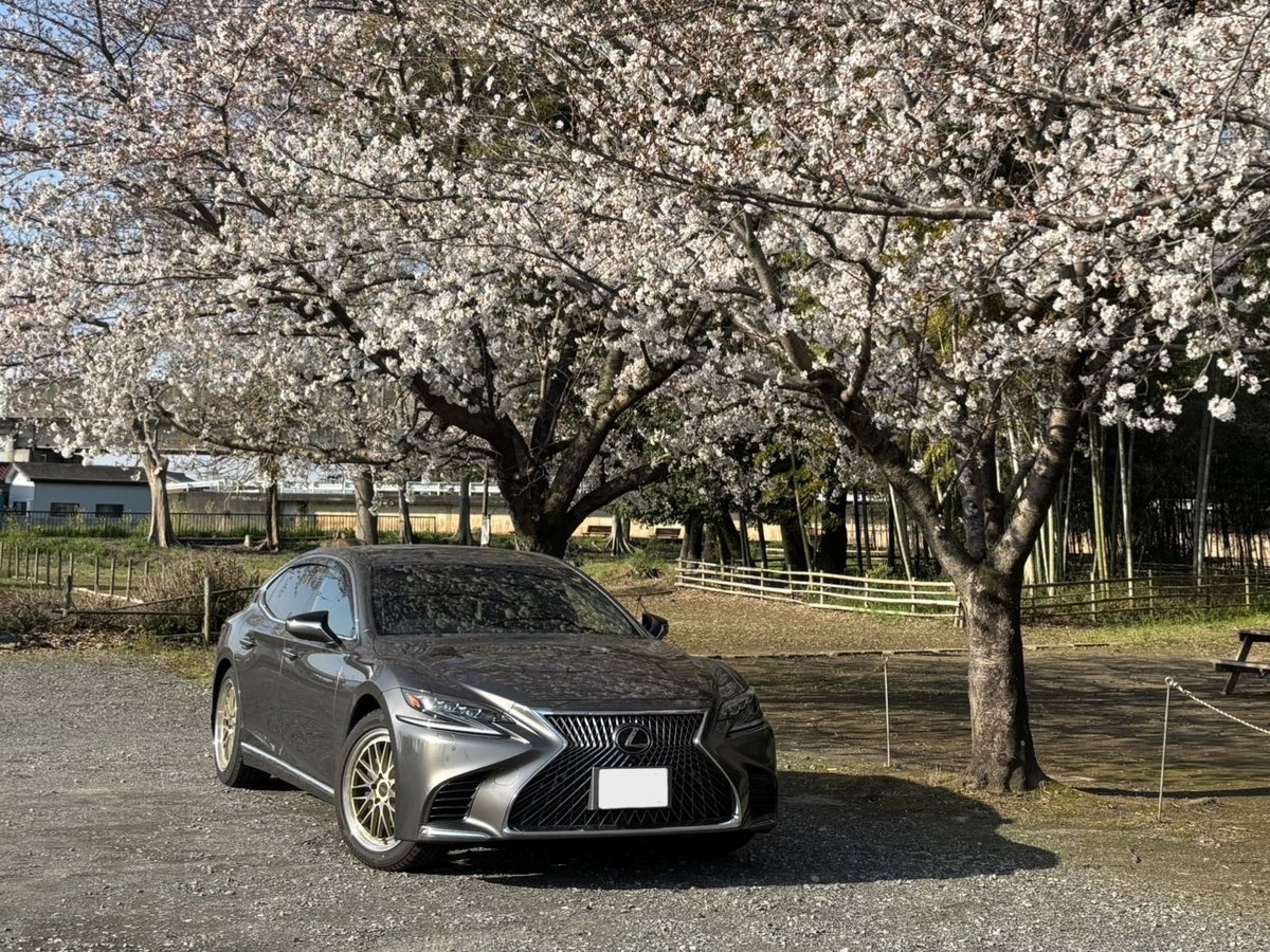 ブイ蜂 tweet media