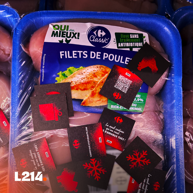 L214's tweet photo. Des millions d'animaux sont tués pour Carrefour chaque mois: l'enseigne ne peut plus fermer les yeux!

Pour la convaincre d'agir, répandez des millions de confettis de Noël dans ses rayons.

Commandez gratuitement votre enveloppe de confettis en cliquant sur l'image:
