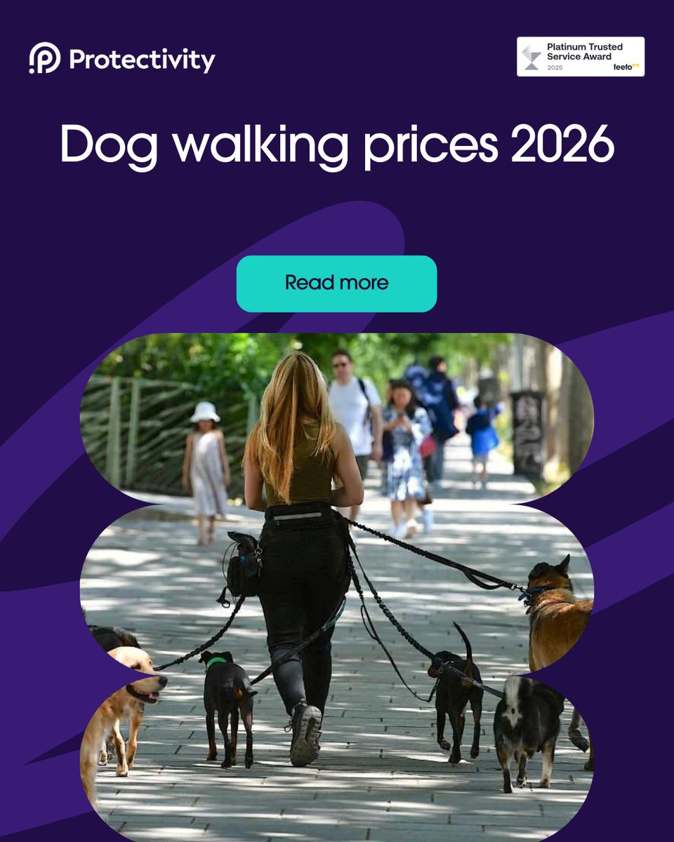 Protectivity's tweet image. Setting your dog-walking prices for 2026? See what to expect next year — typical UK rates, what really affects your costs, and how to make sure your prices reflect the value you provide. Smart pricing starts with knowing what others charge

protectivity.com/knowledge-cent…