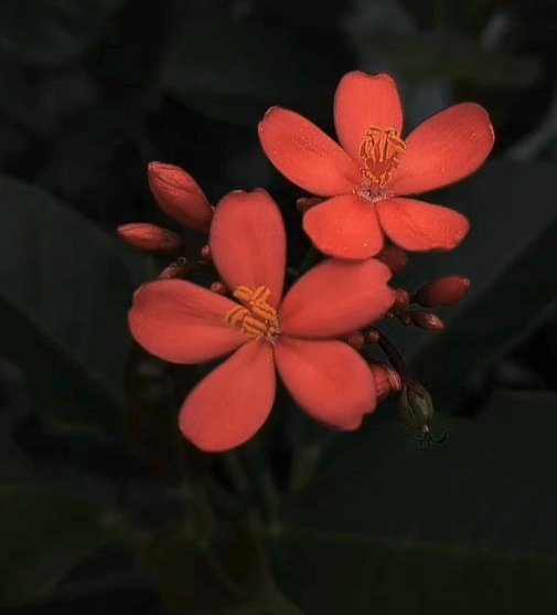 Priyank78532802's tweet image. ढूंढो तो सुकून खुद में ही है...
दूसरों में तो बस उलझनें ही मिलेगी!!🥀🌿🥀

#Py ✍️🍁✨