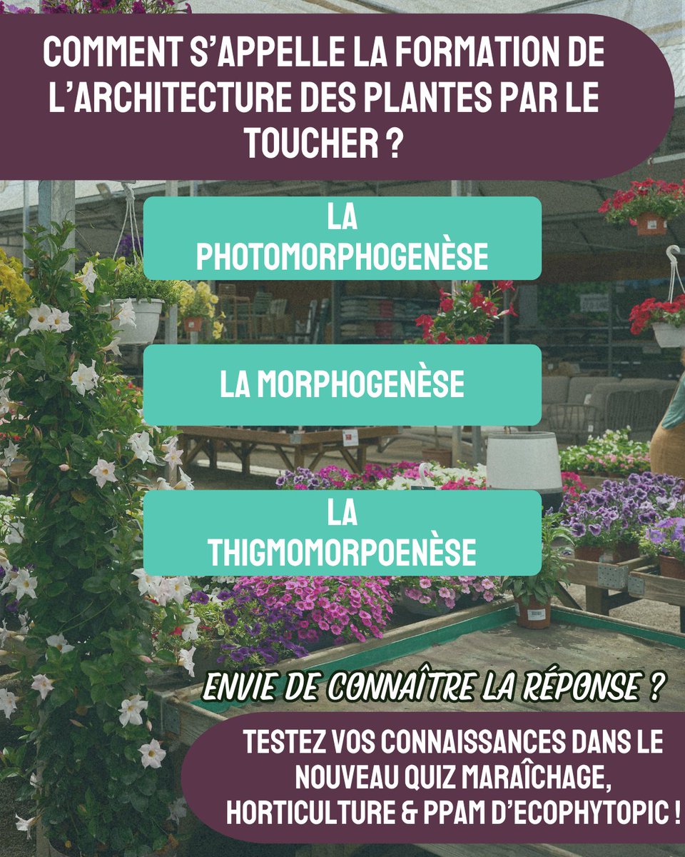 Le nouveau quiz maraîchage, PPAM et horticulture, c'est par ici ! ➡️ app.experquiz.com/xq/quiz_dossie…

Ce quiz ce base sur les dossiers de <a href="/iteipmai/">iteipmai</a>, <a href="/astredhor/">ASTREDHOR</a> et  <a href="/_Ctifl/">CTIFL</a> à retrouver sur ecophytopic.fr !