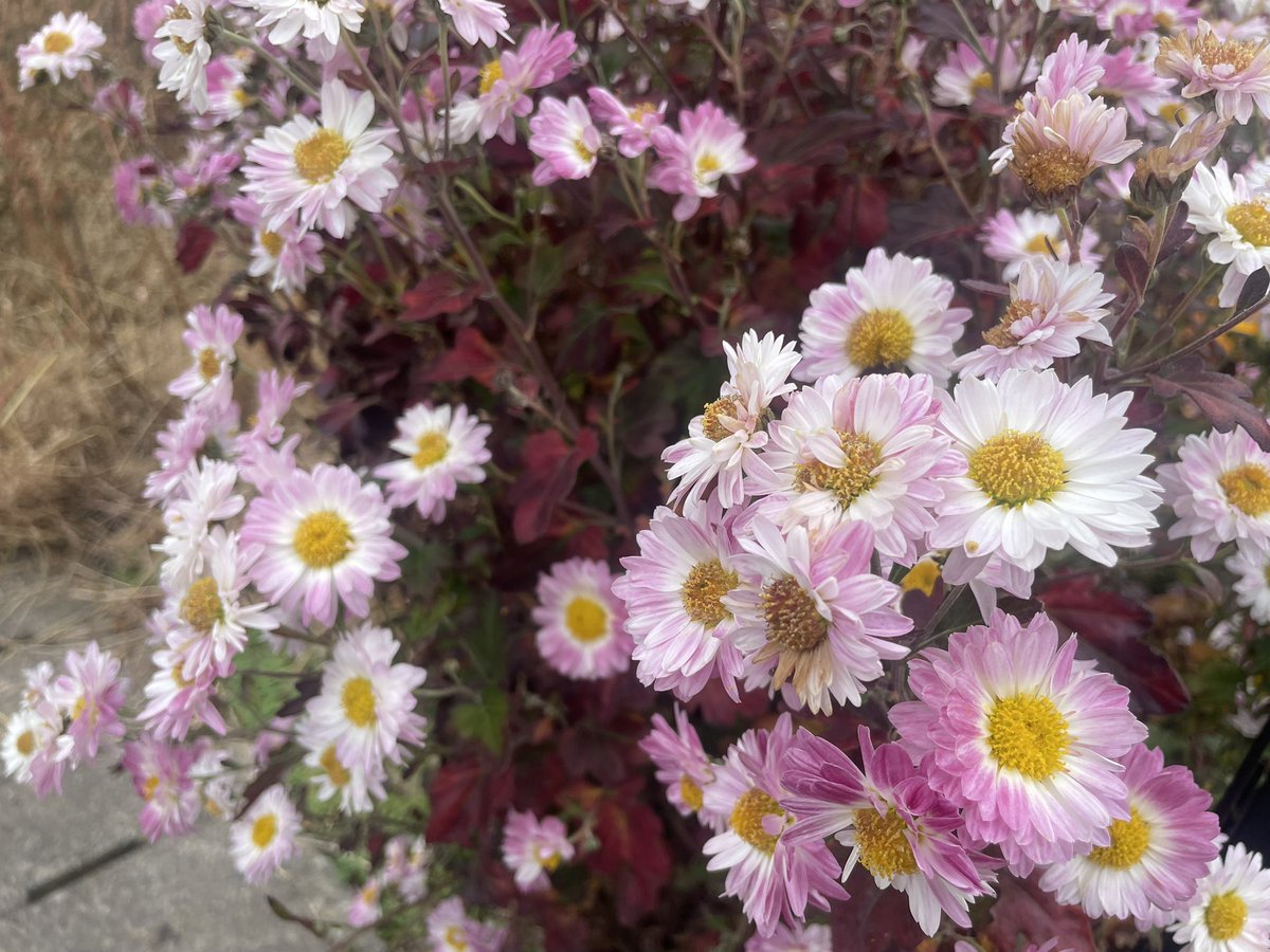 疲れた人をちょっぴり励ましたい台本書きました！ 台詞の大筋が変わら