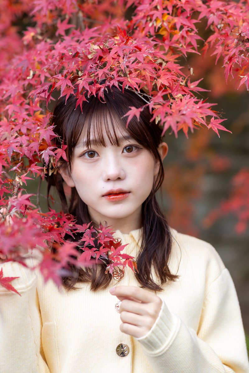 alphard333's tweet image. こもれびもかさん
@mocatankomorebi 

#ポートレート🍁
#ある33photo