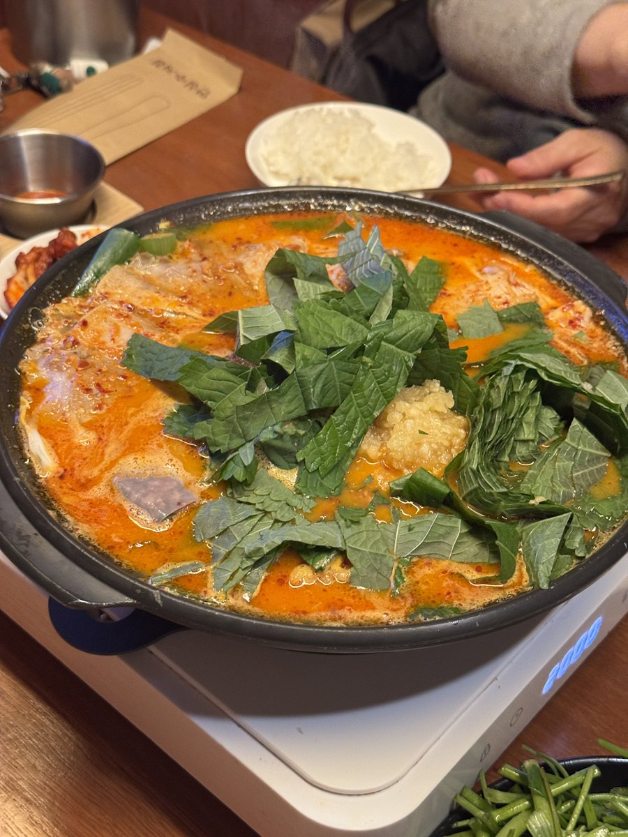 01LHO01's tweet image. 혜화에서 뭐 먹을지 메뉴 못 정하신 분들 
고은정
한번만 가주세요 (특히 치즈명란 감자전 미쳤습니다)