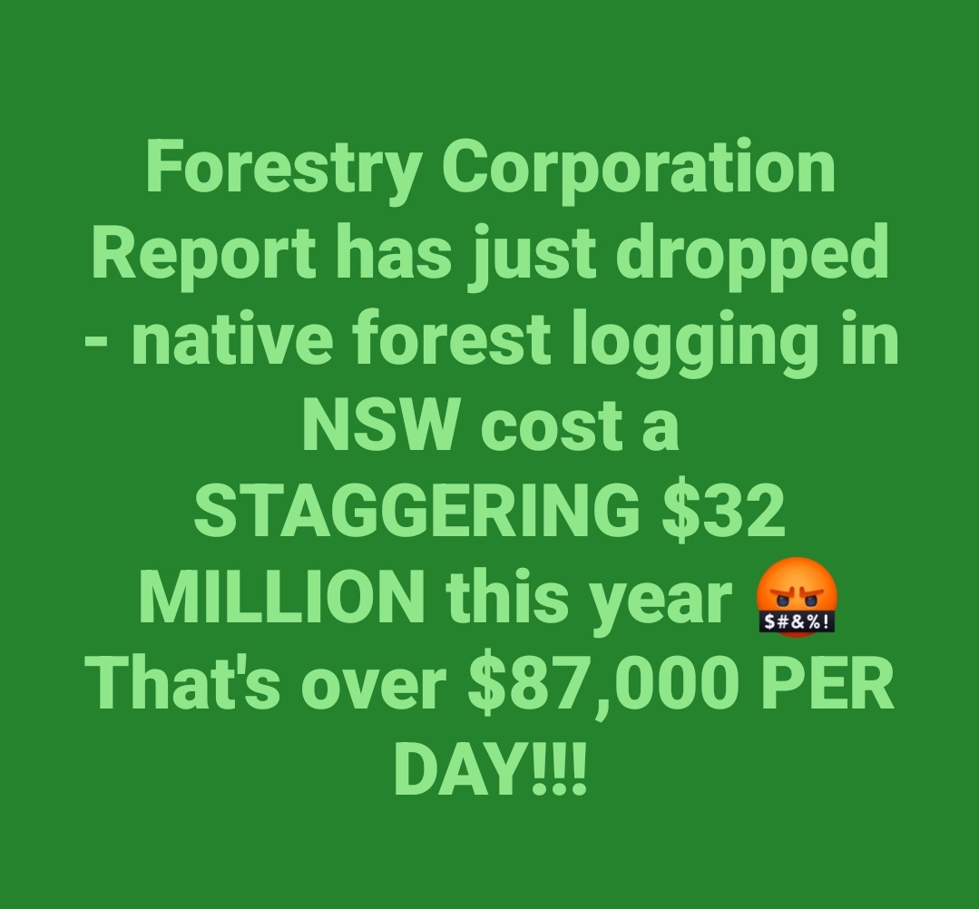 Sue Higginson 🌳 Greens MP tweet media