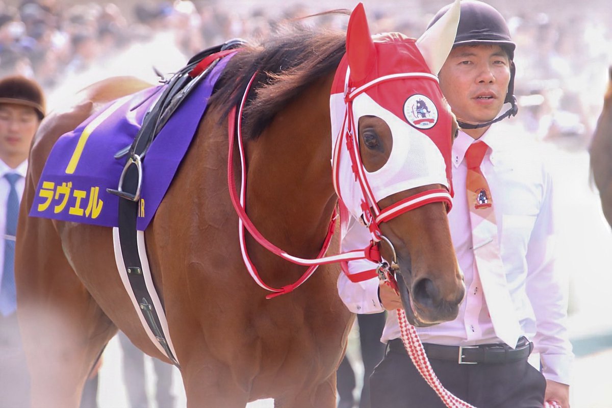 スキルヴィング