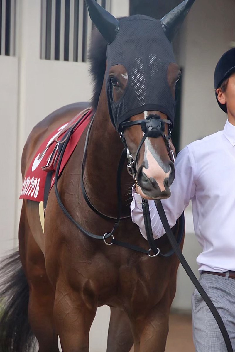 スキルヴィング