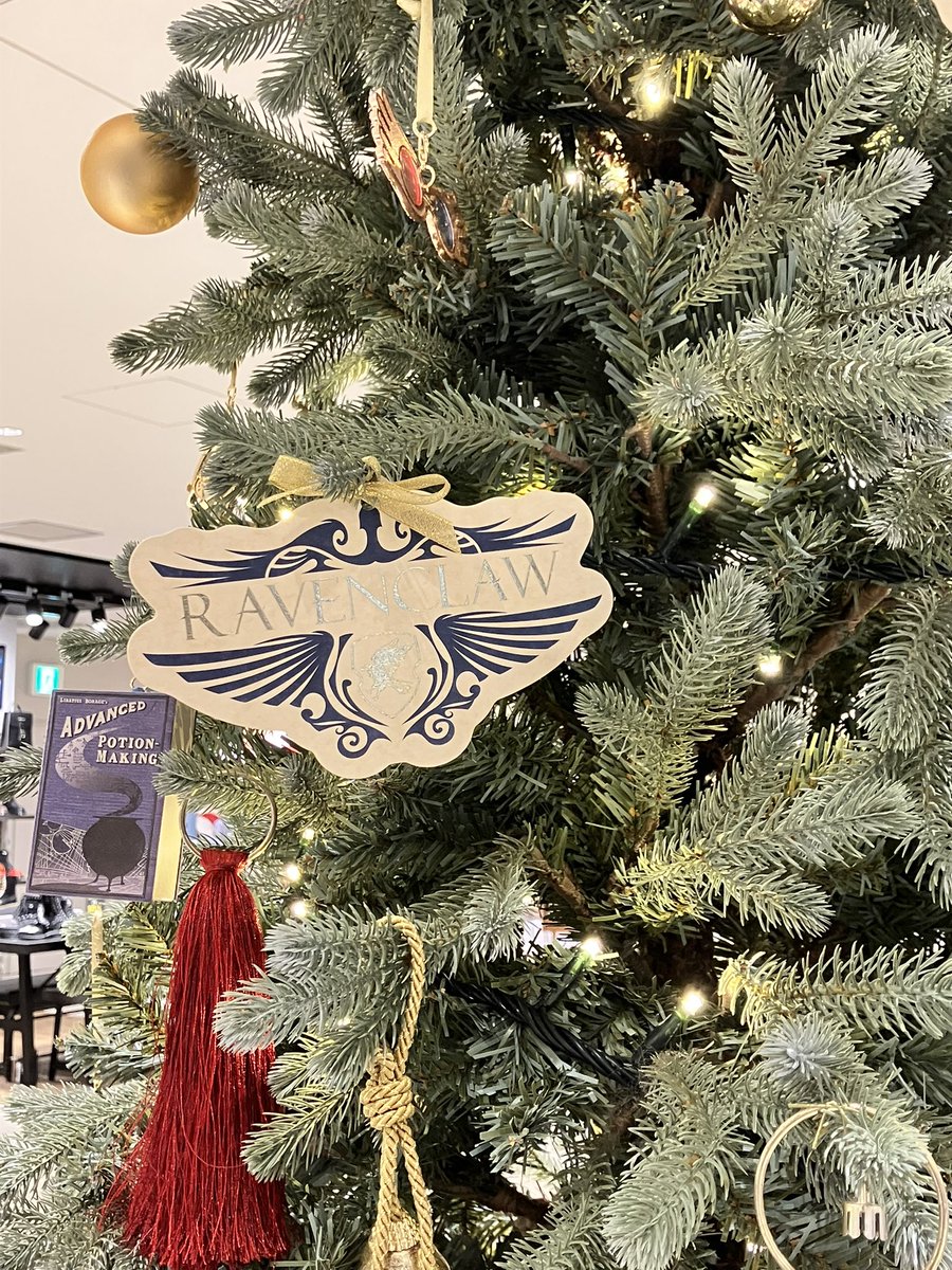 連勤の合間にクリスマスツリーを出しました🎄✨️利用者の方にバランス聞いたり応援してもらったり…暖かさを感じながら作業したことで12月をようやく受け入れました( ˇωˇ )
そして!!12月と1月!!出演詳細も出ましたのでこの後一挙解禁します!!逃さず!

写真はたまたま見つけた横浜のクリスマス魔法