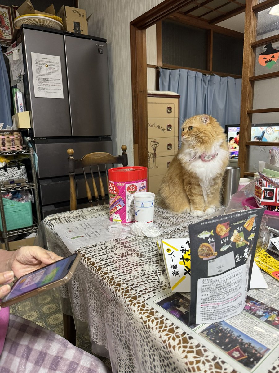 yukimuramoa's tweet image. 子宮頚がんの手術を終えてオカンが帰ってきました
僕の故郷がきえました