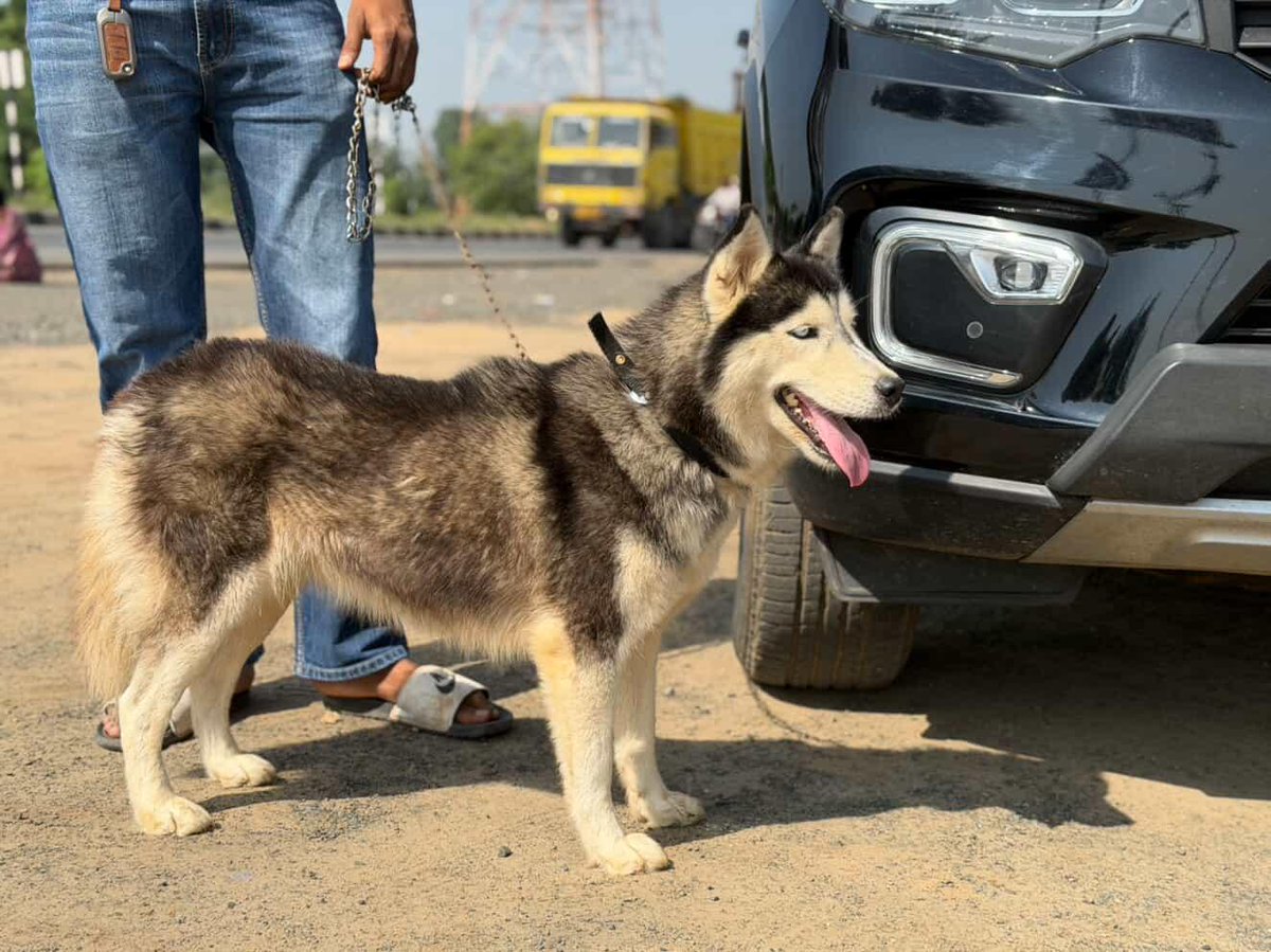 pate_chirag's tweet image. November dump🥺