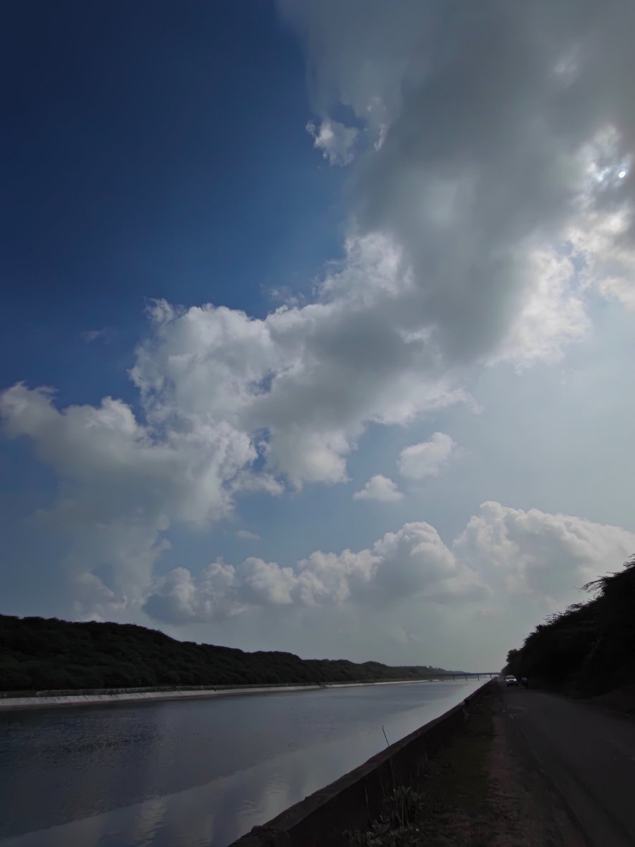 pate_chirag's tweet image. November dump🥺