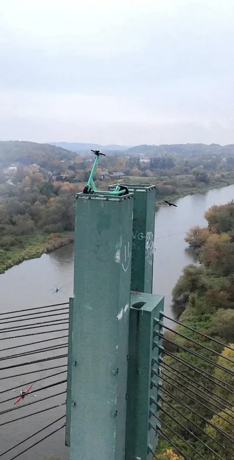 Jules1Youtube's tweet image. moderne kunst