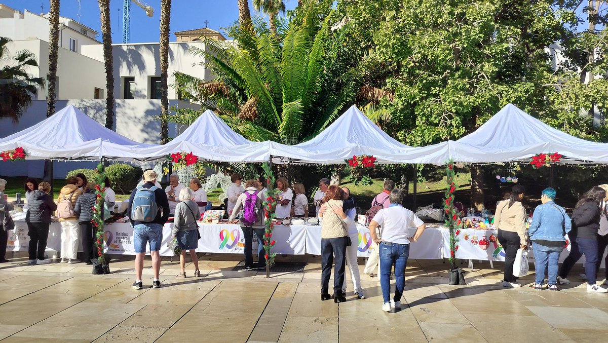 Fund Cesare Scariolo tweet media