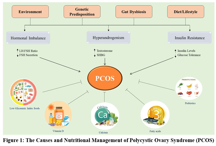 biomed_pharma's tweet image. Dietary strategies at the forefront of PCOS management

Read the Article here: bit.ly/3ELihxY

#PCOS #NutritionalTherapy #MetabolicHealth #WomenHealthResearch #DietaryIntervention #EndocrineHealth #FoodScienceResearch #Biomedical #Pharmacology #MedicalMicrobiology