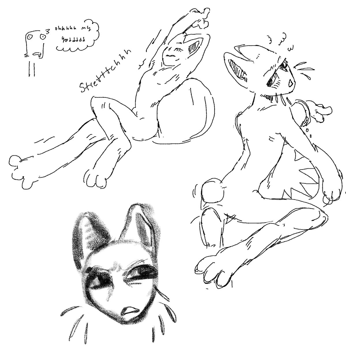 Schbooc (FREE 🇵🇸🍉) tweet media