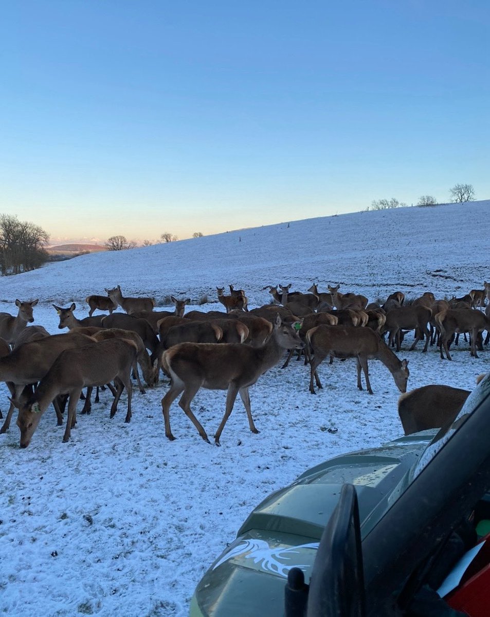 Christmas gift vouchers available now @ingramvalleysafaris 🎄 

Each gift voucher is valid for 12 months #seewebsitefordetails 

#christmas 
#christmasgiftideas 
#christmasgift
#christmaspresent 
#presents
#gifts 
#giftideas 
#love