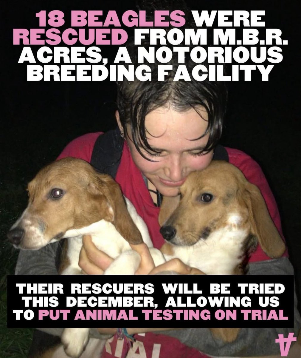 domdyer70's tweet image. No one should go to prison for freeing dogs from this horrendous animal testing breeding facility