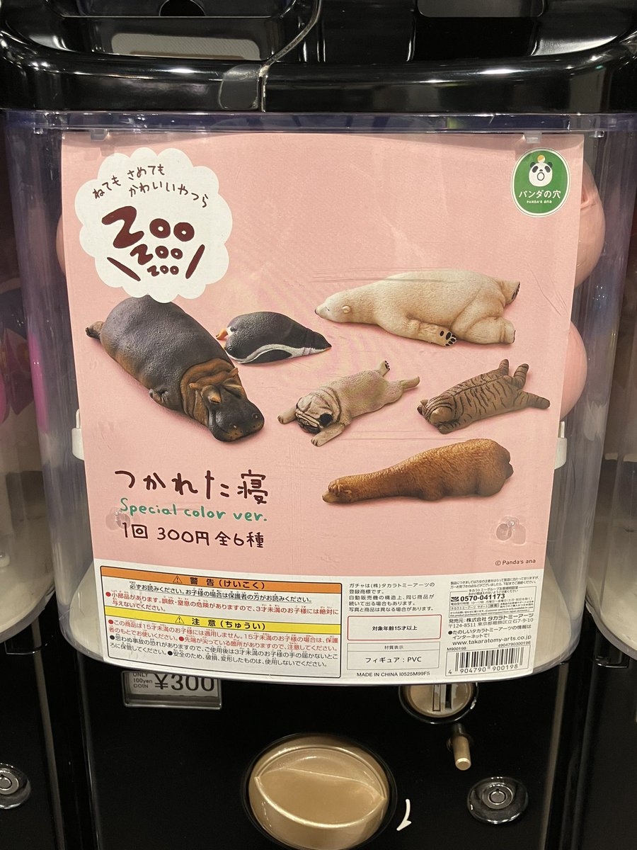 入荷情報／ ケンエレスタンドEchika fit上野店 ・ボイレコmini