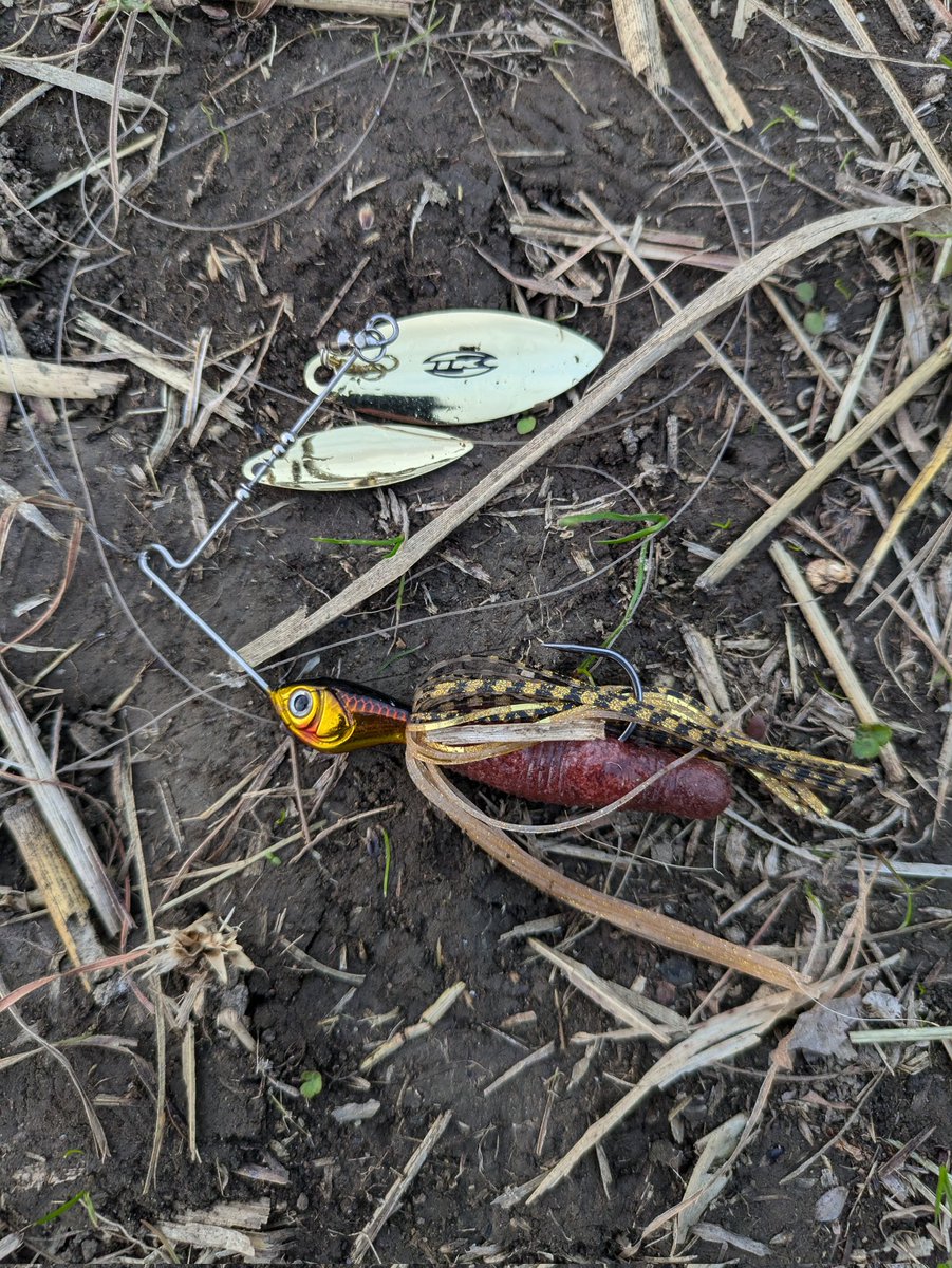 スピナーベイト