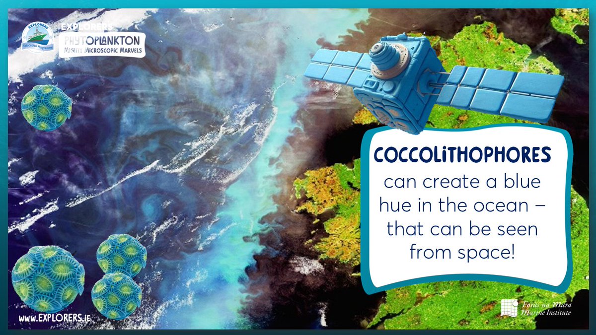 Explorers Education Programme tweet media