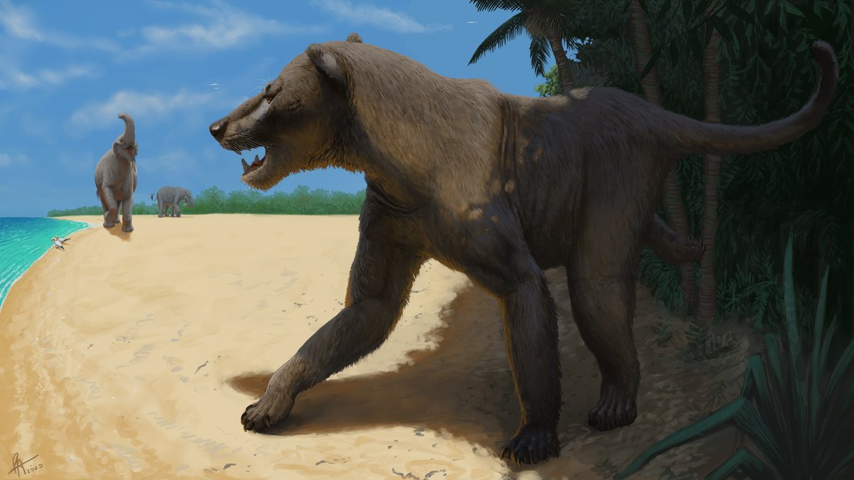 Pedro Andrade Paleoart tweet media