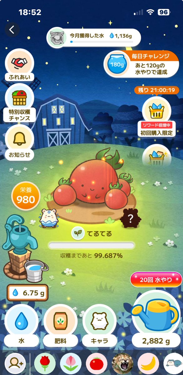 カウシェファーム