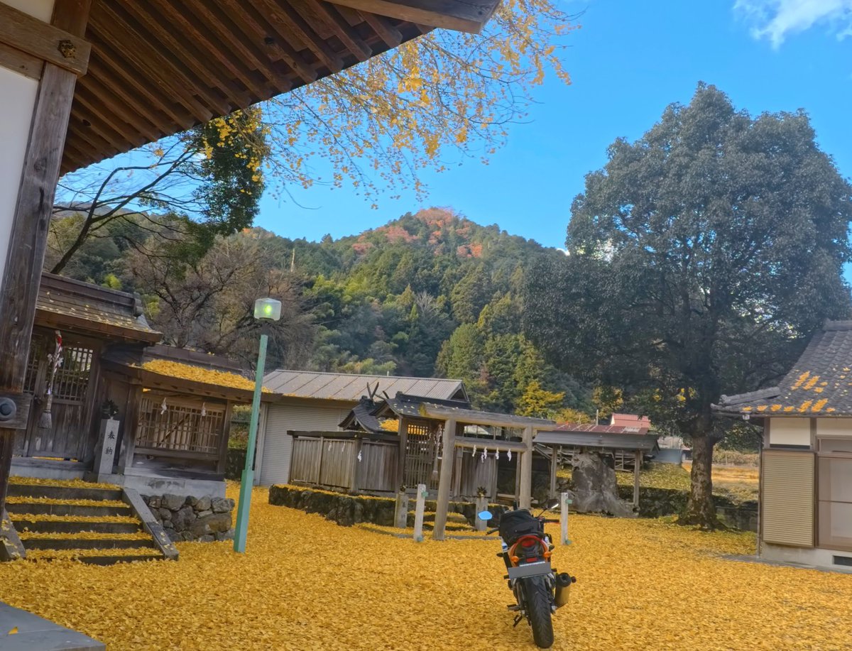 なつこ :p🧡🐵🇫🇷🐎🟡四国一周制覇 (@7a2co) / Posts / X