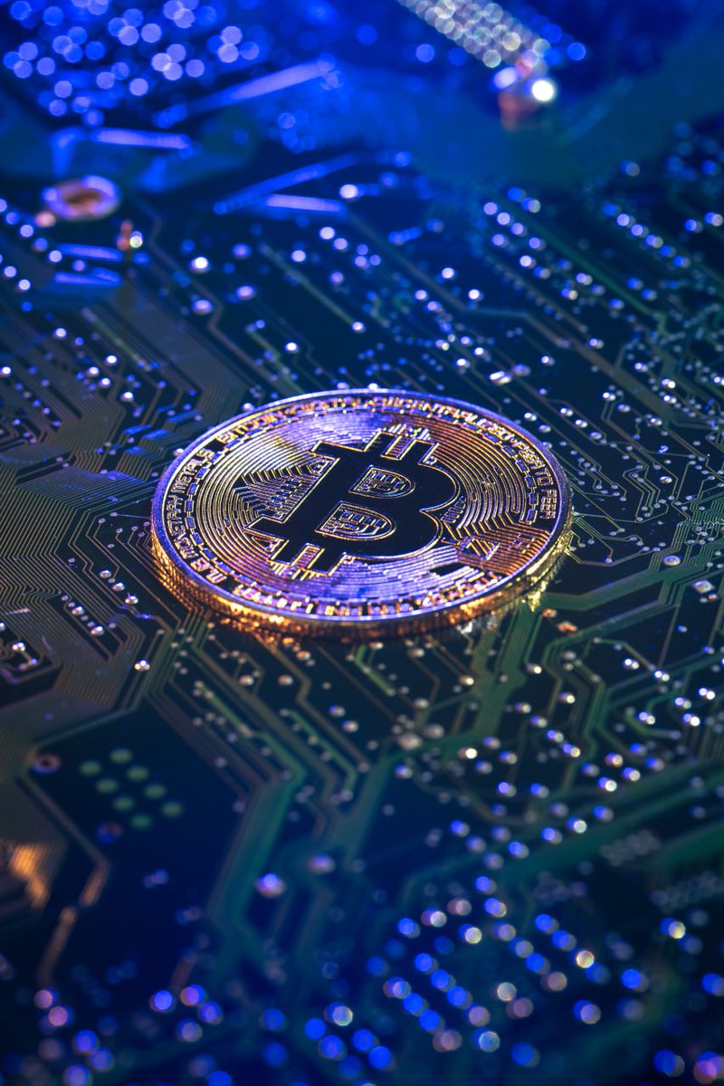 🥔CRIPTOVALUTE : I minatori di Bitcoin in crisi: ricavi in calo e costi di produzione insostenibili