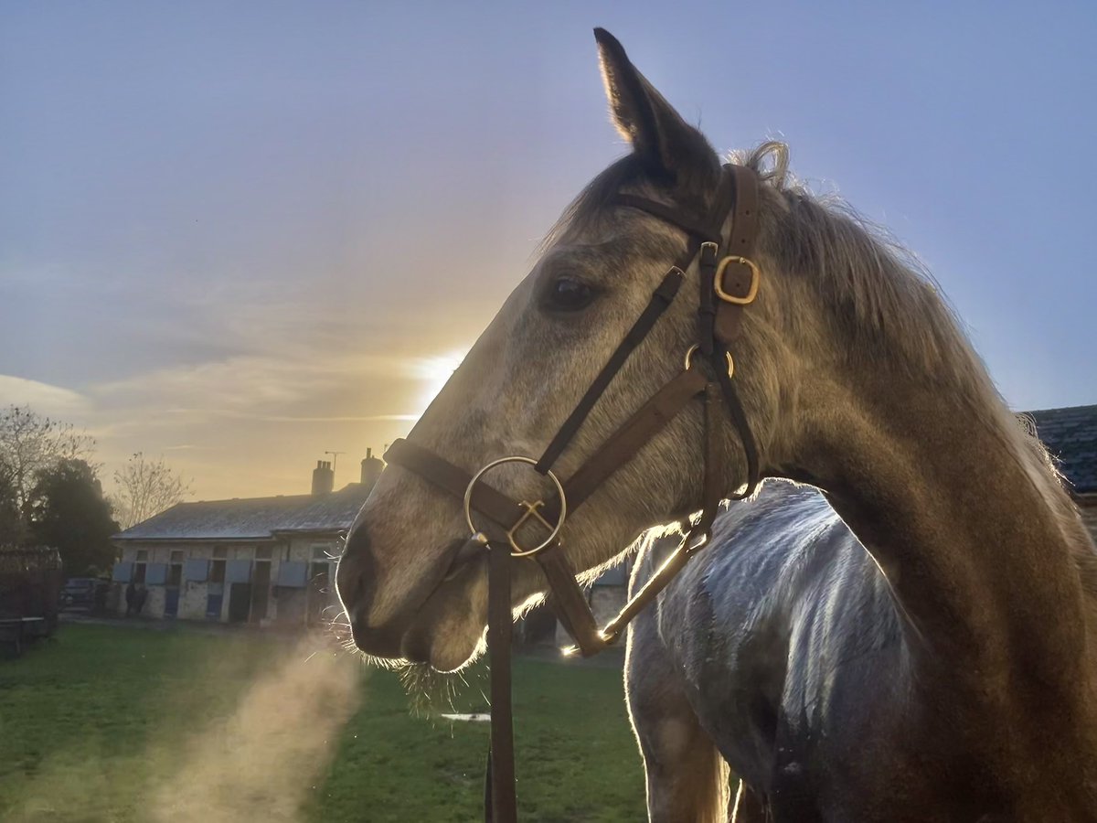 John Berry tweet media