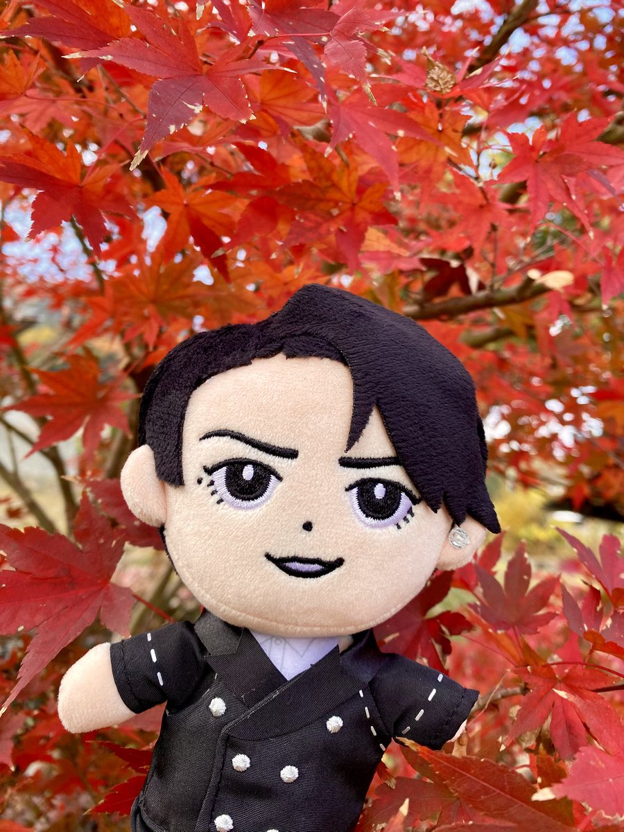 我が家にちょっとだけある紅葉で記念撮影 秋だね亀ちゃん🍁 #亀梨和也