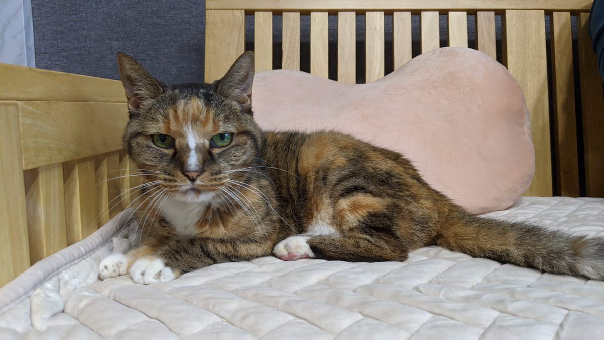 arrstein's tweet image. 강순이

2005.05.05 ~ 2025.12.01