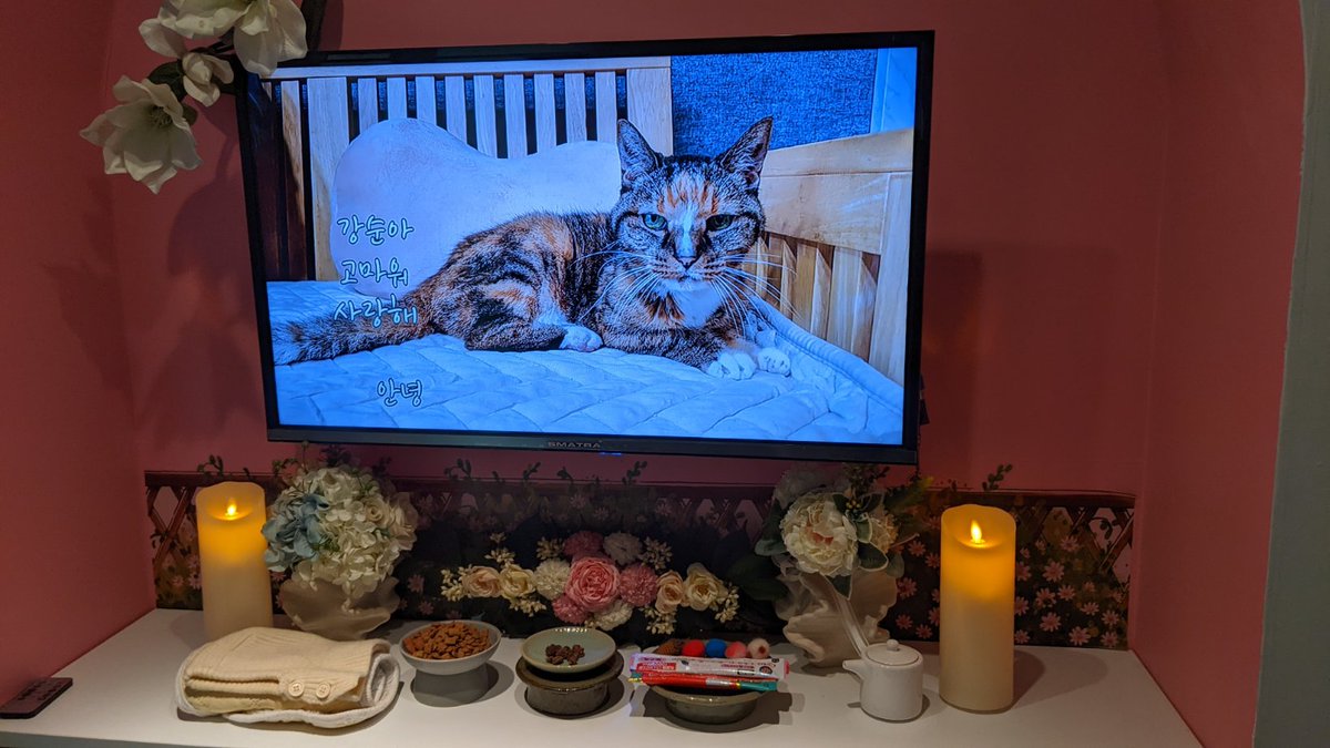 arrstein's tweet image. 강순이

2005.05.05 ~ 2025.12.01