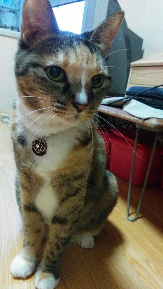 arrstein's tweet image. 강순이

2005.05.05 ~ 2025.12.01